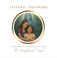 Inschrijving Systemic Soulwork 2026-2027